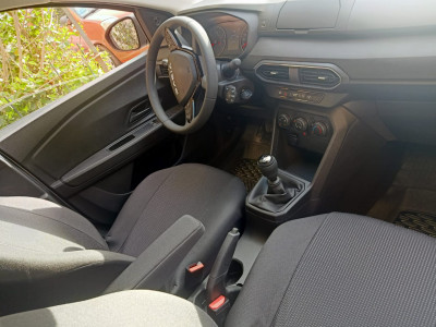 LOGAN III GRIS 975 3